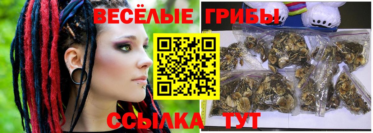 Галлюциногенные грибы прущие грибы Алатырь