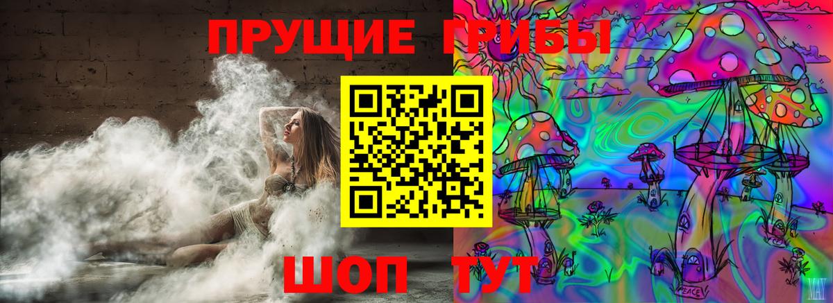 Алатырь  Псилоцибиновые грибы Cubensis  Вход с VPN 